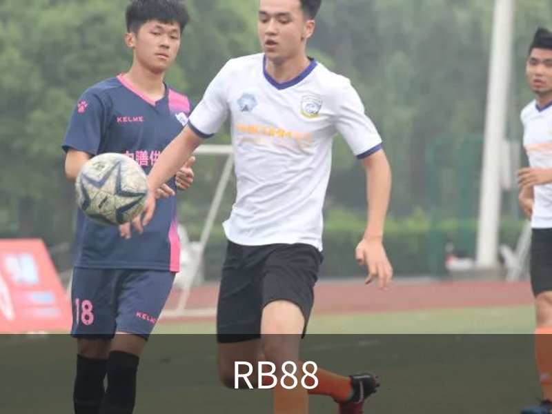 RB88概况
